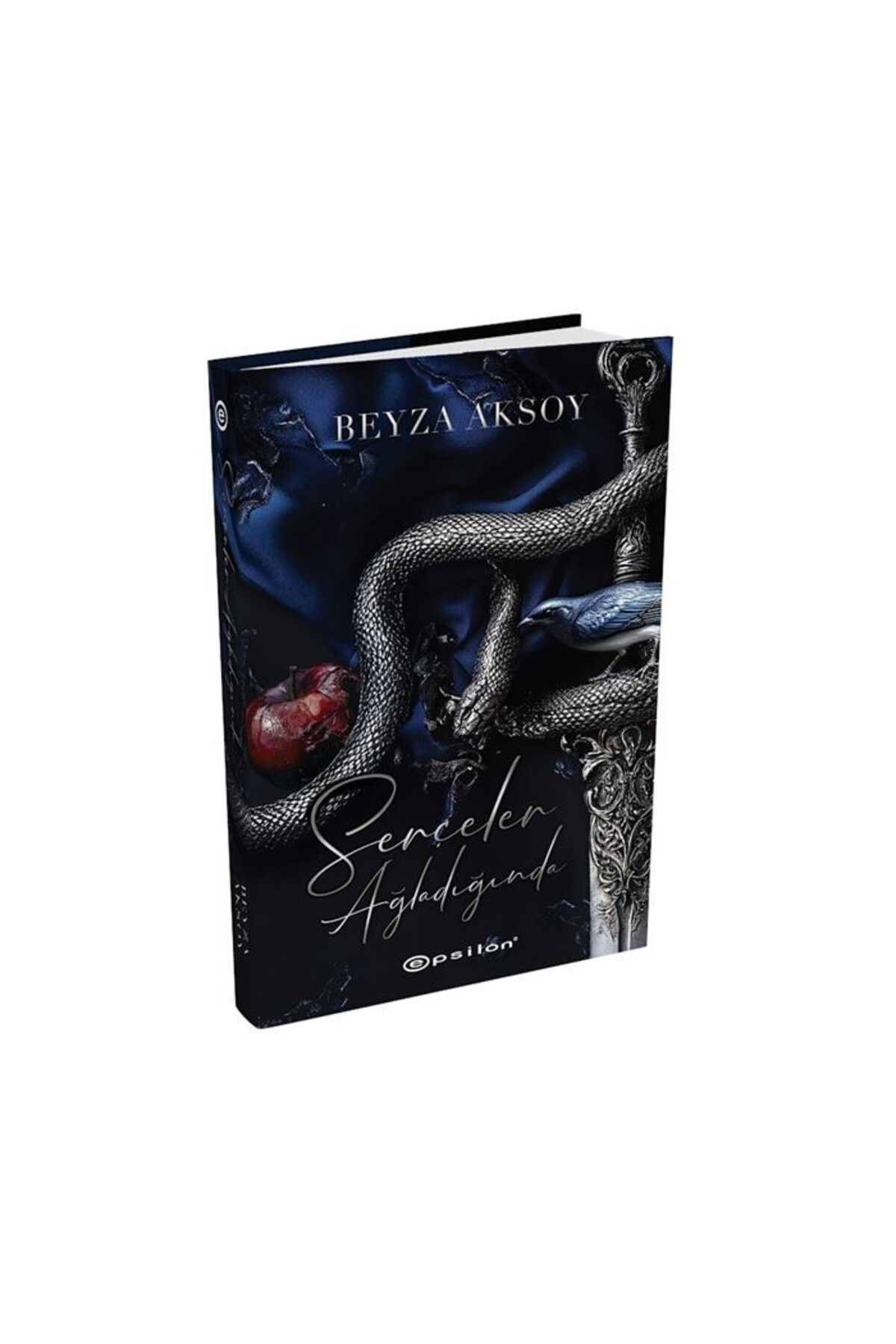 Ankara Kitap Merkezi Serçeler Ağladığında Beyza Aksoy Epsilon Yayınları