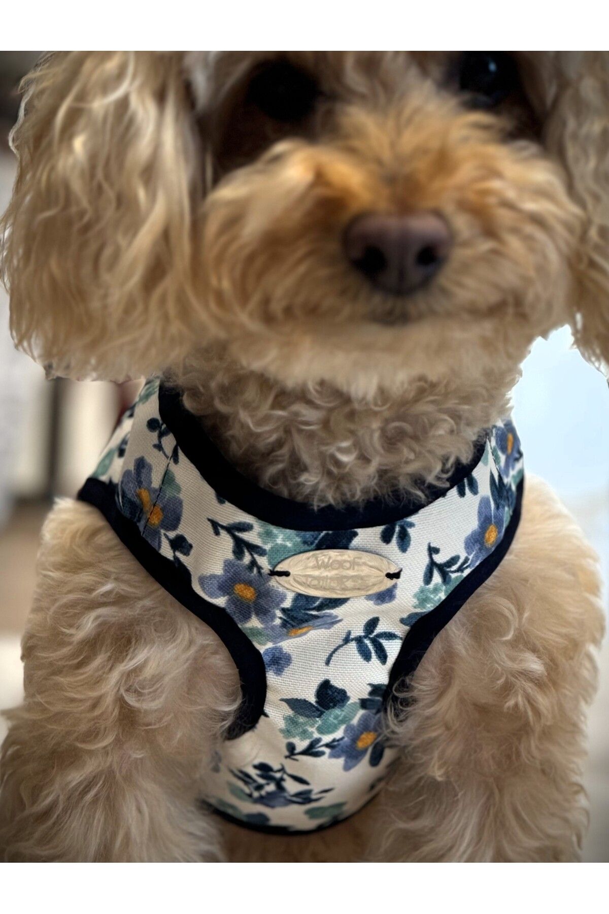 WoofTailor Köpek Göğüs Tasması