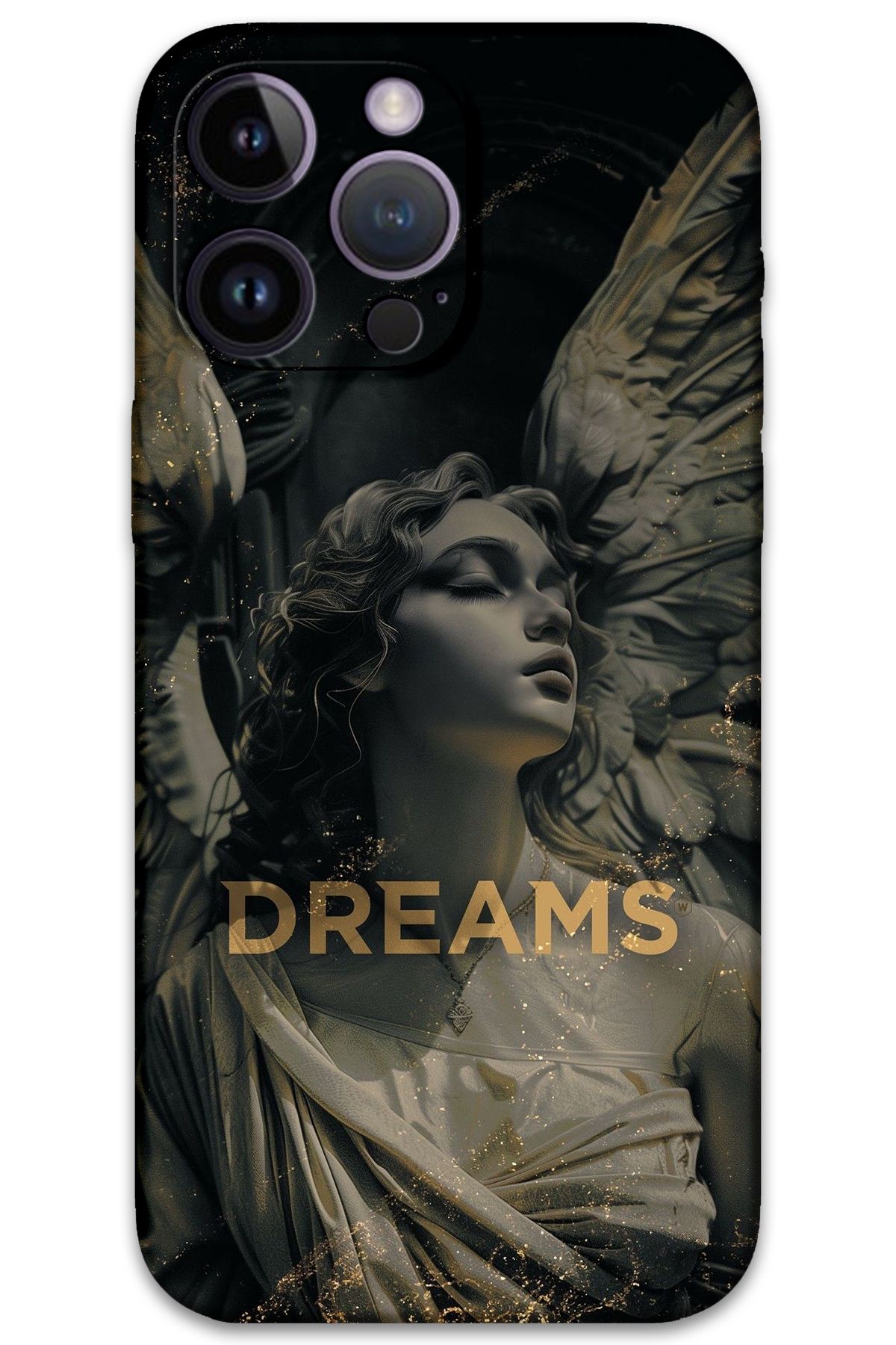 Gramaphone iPhone 14 Pro Uyumlu Retro Desenli Telefon Kılıfı + Ekran Koruyucu - 5832