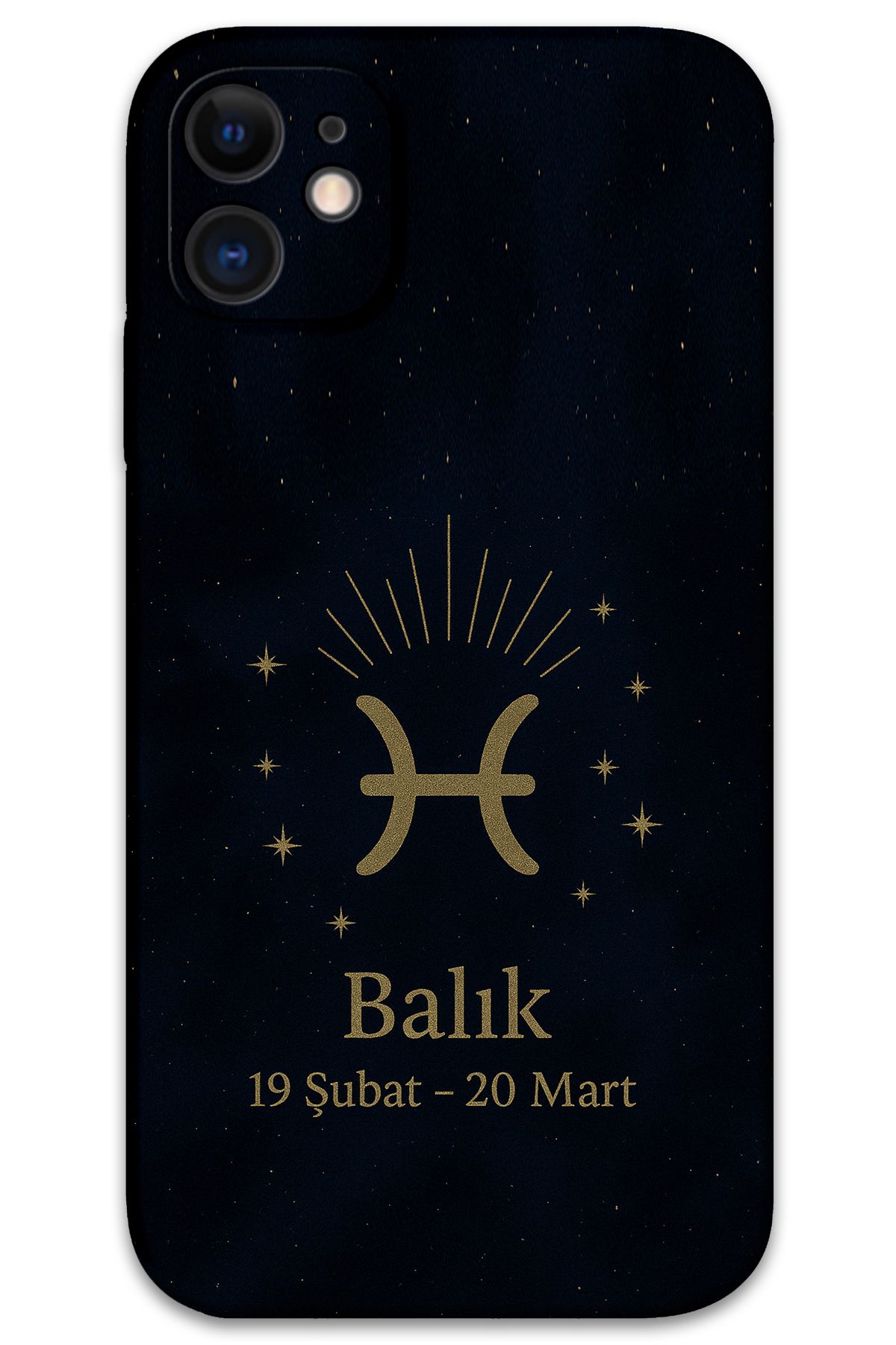 Gramaphone iPhone 11 Uyumlu Balık Burcu Desenli Telefon Kılıfı + Ekran Koruyucu - 5779