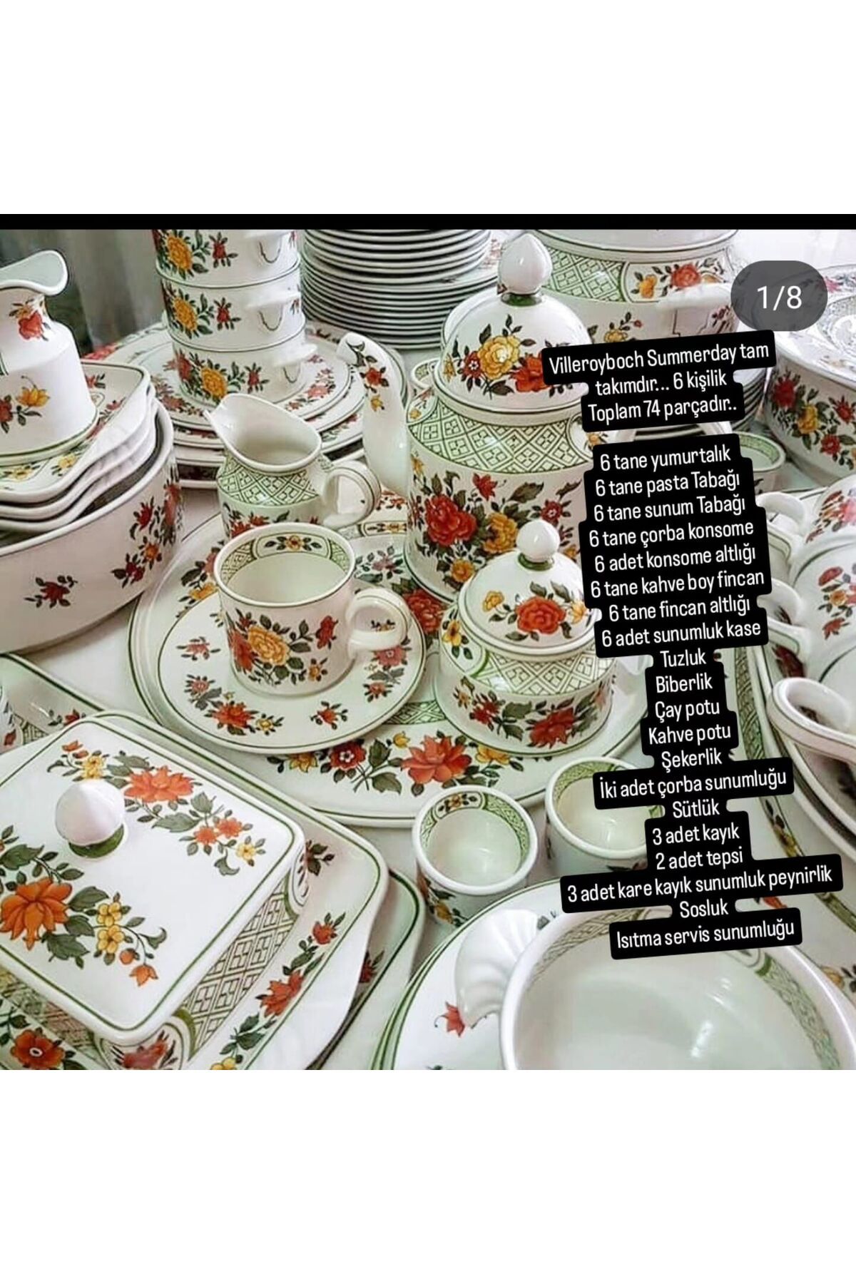 Villeroy & Boch Villeroyboch Summerday Yemek Takımı 74 parça