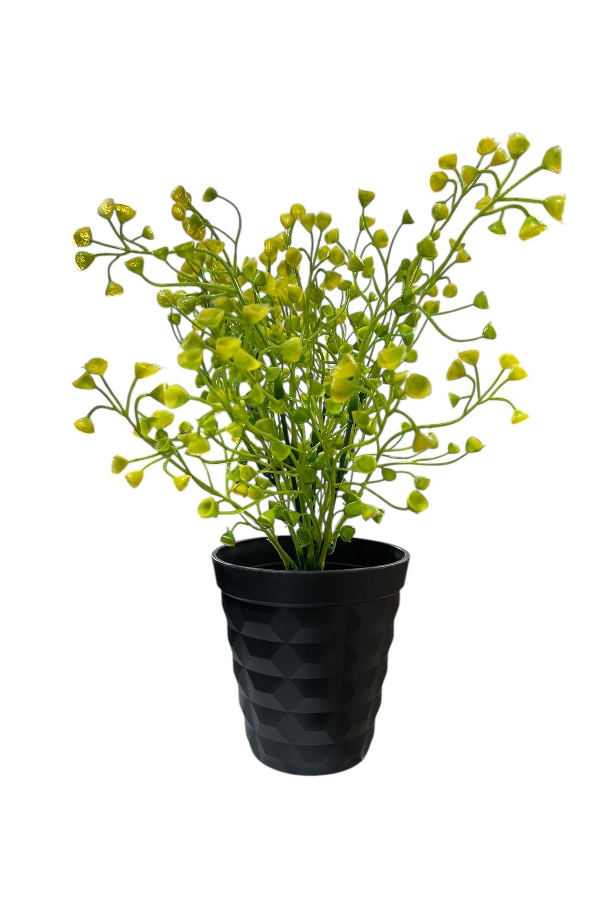 Lilac Home Siyah Elmas Saksı İçerisinde Sarı Gypsophila