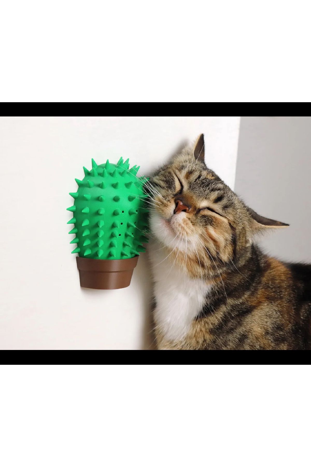Wuun Store Kedi Kaşınma Ve Sürtünme Aparatı Kaktüs
