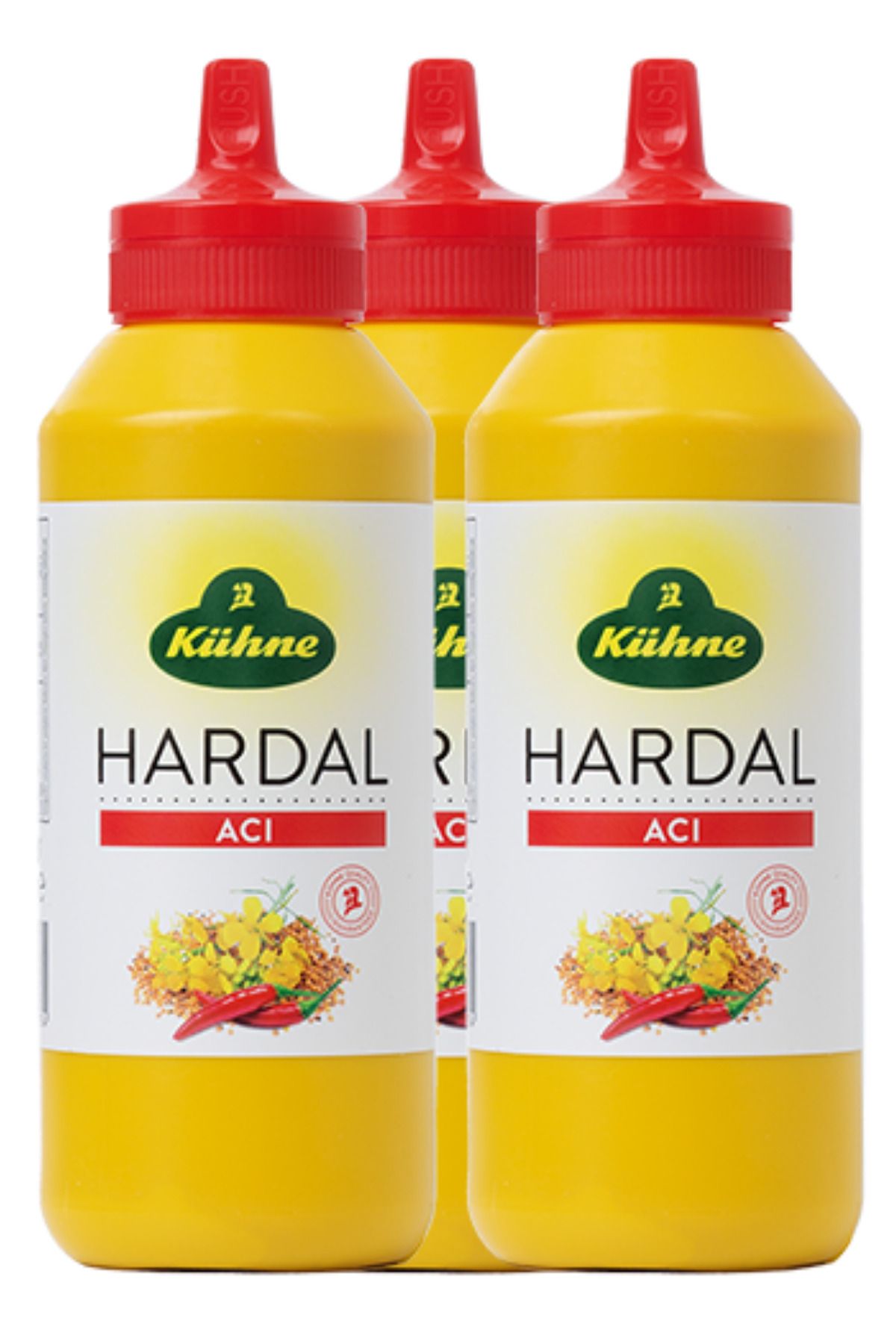 Kühne Hardal Acı 255 Gr x 3 Adet