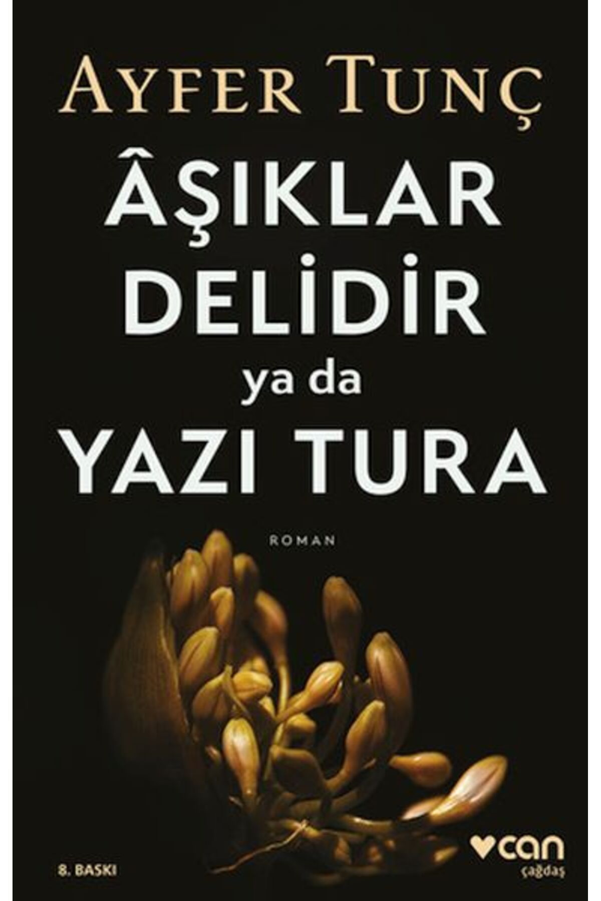 Destek Yayınları Aşıklar Delidir ya da Yazı Tura