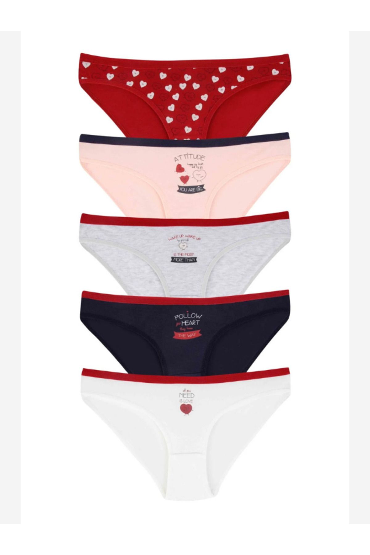Dominant DOMİNANT BİKİNİ MODEL 5 Lİ PAKET KÜLOT