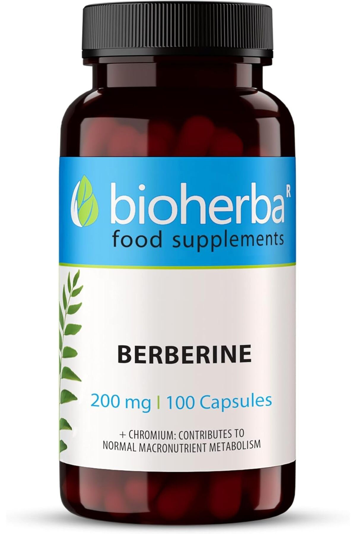 bioherba Berberine Antioxidant(Antioksidan) 200 mg 100 caps