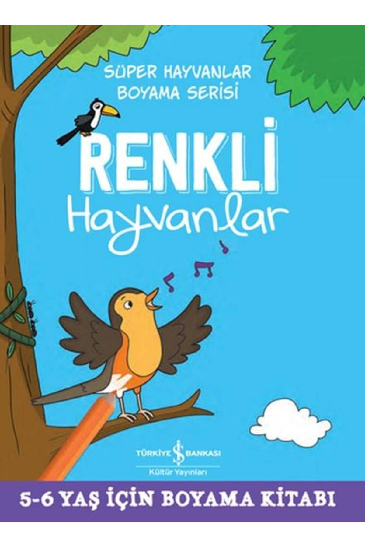 Destek Yayınları Renkli Hayvanlar Süper Hayvanlar Boyama Serisi