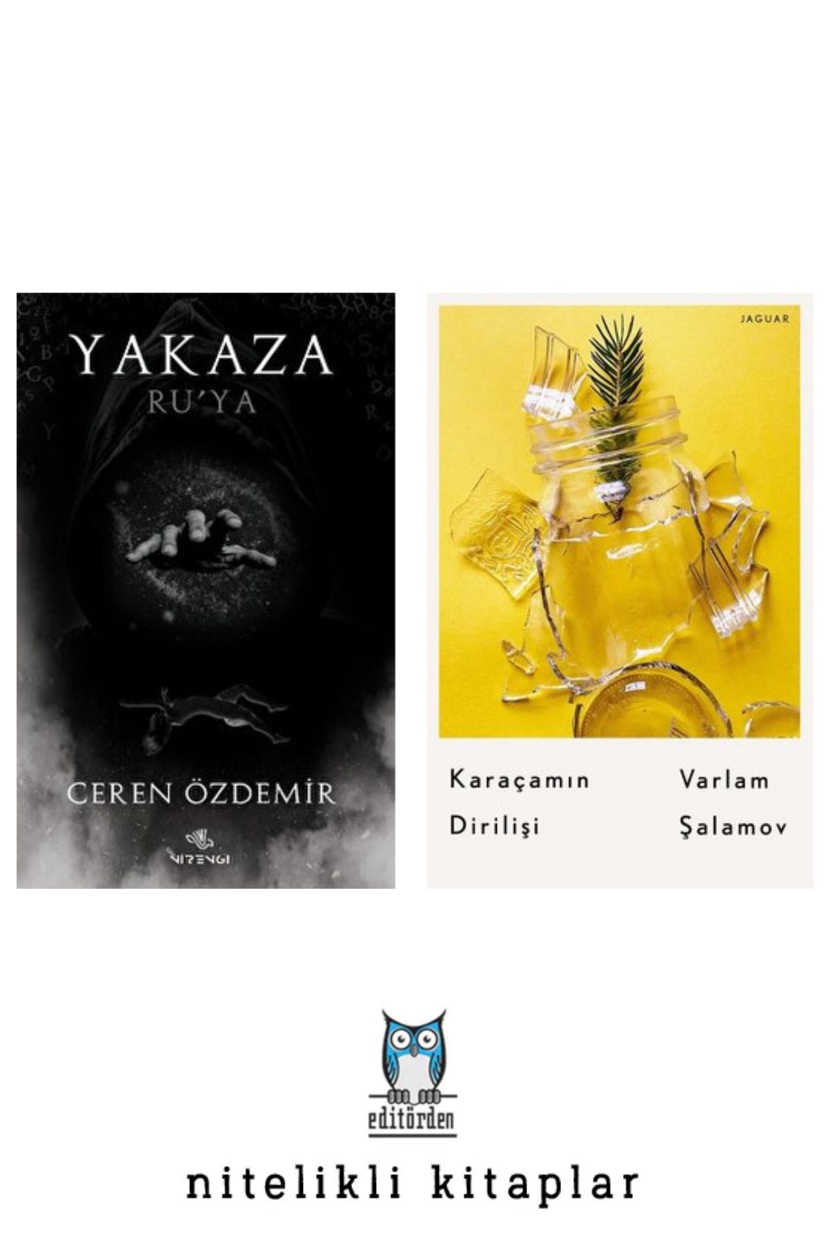 Nirengi Yayınları Karaçamın Dirilişi - Yakaza Ru’ya / Ceren Özdemir