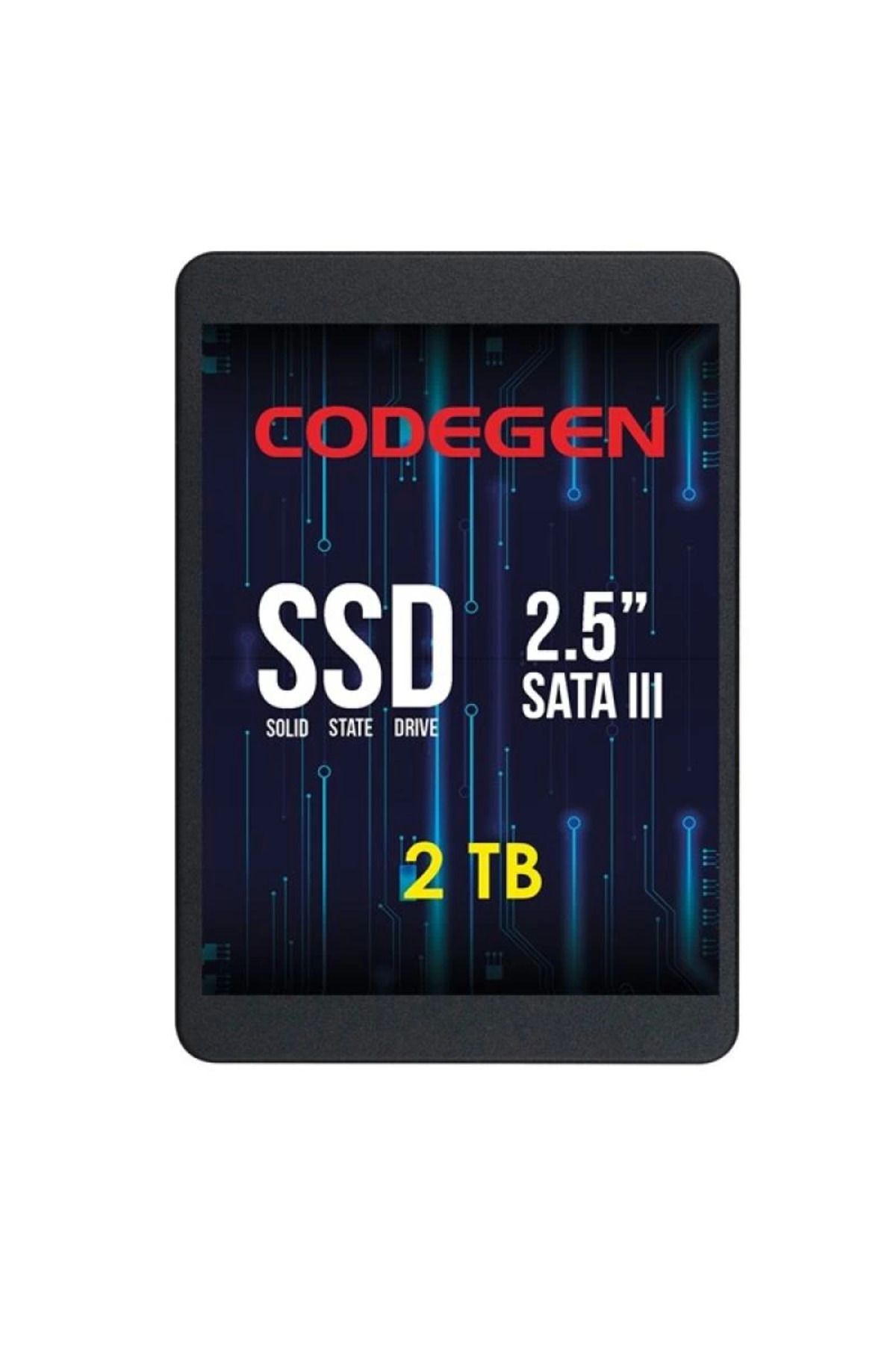 hayalimsah CODEGEN 2TB CDG-2TB-SSD25 560- 500MB/s SSD SATA-3 Disk