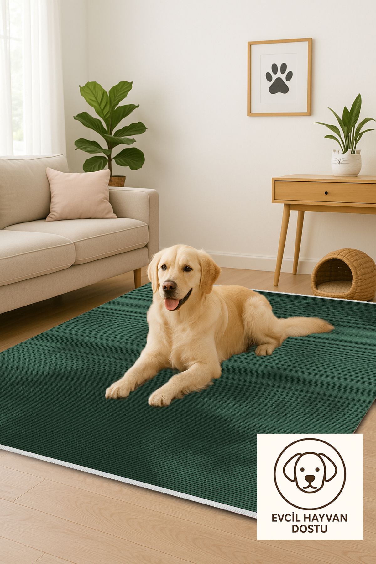 Home Tek Renk Zümrüt Yumuşak Dokulu Modern Halı 160x230