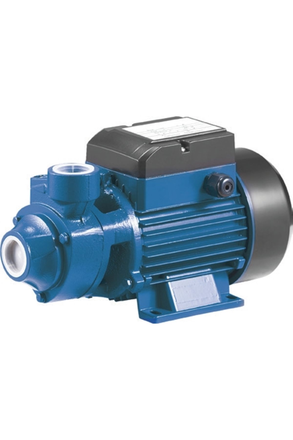 Rainpump QB60 0,5Hp Santrifüj Pompa