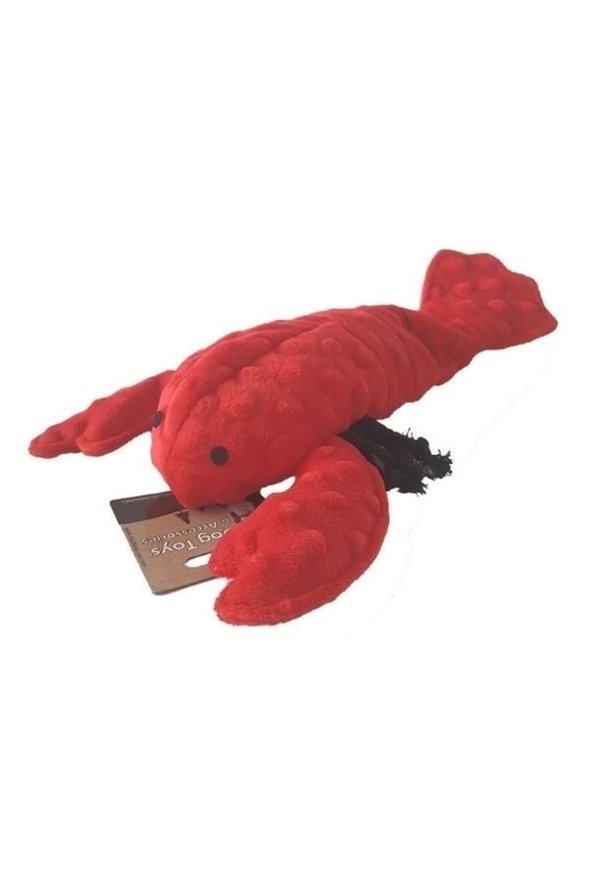 No8 Home Eastland Istakoz Peluş Kedi Oyuncağı Kırmızı 30 Cm