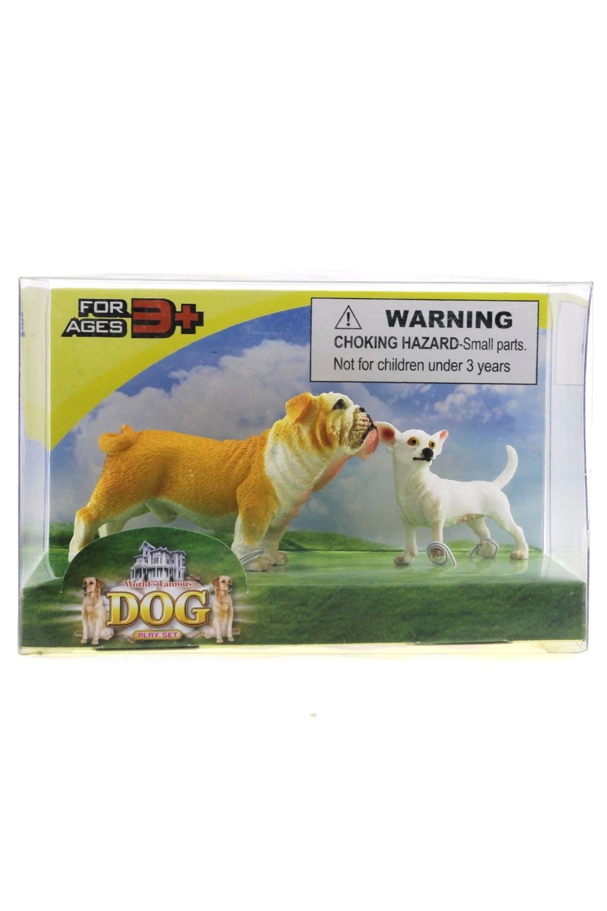 Angoravi Buldog ve Şivava (Chihuahua) Model Hayvan Köpek