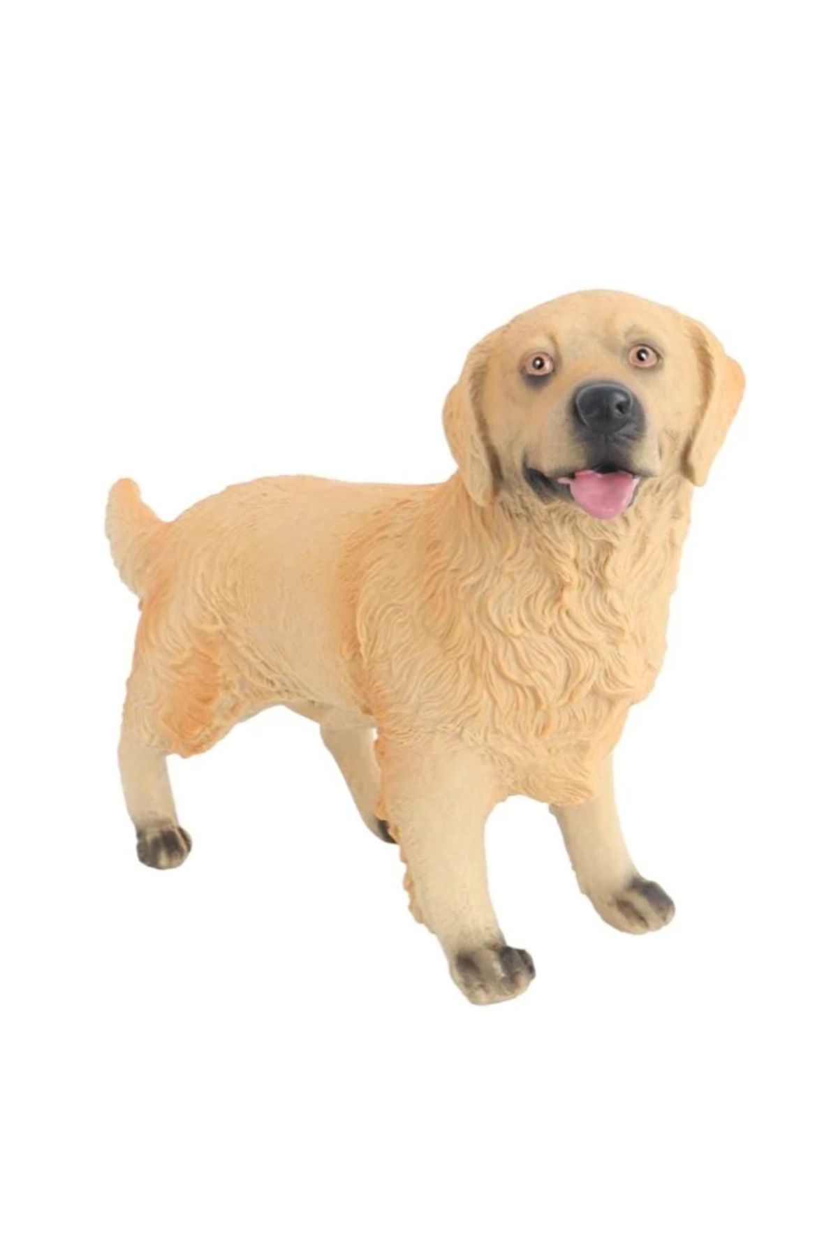 hayalimsah Model Köpek Ten Rengi Golden Retriever