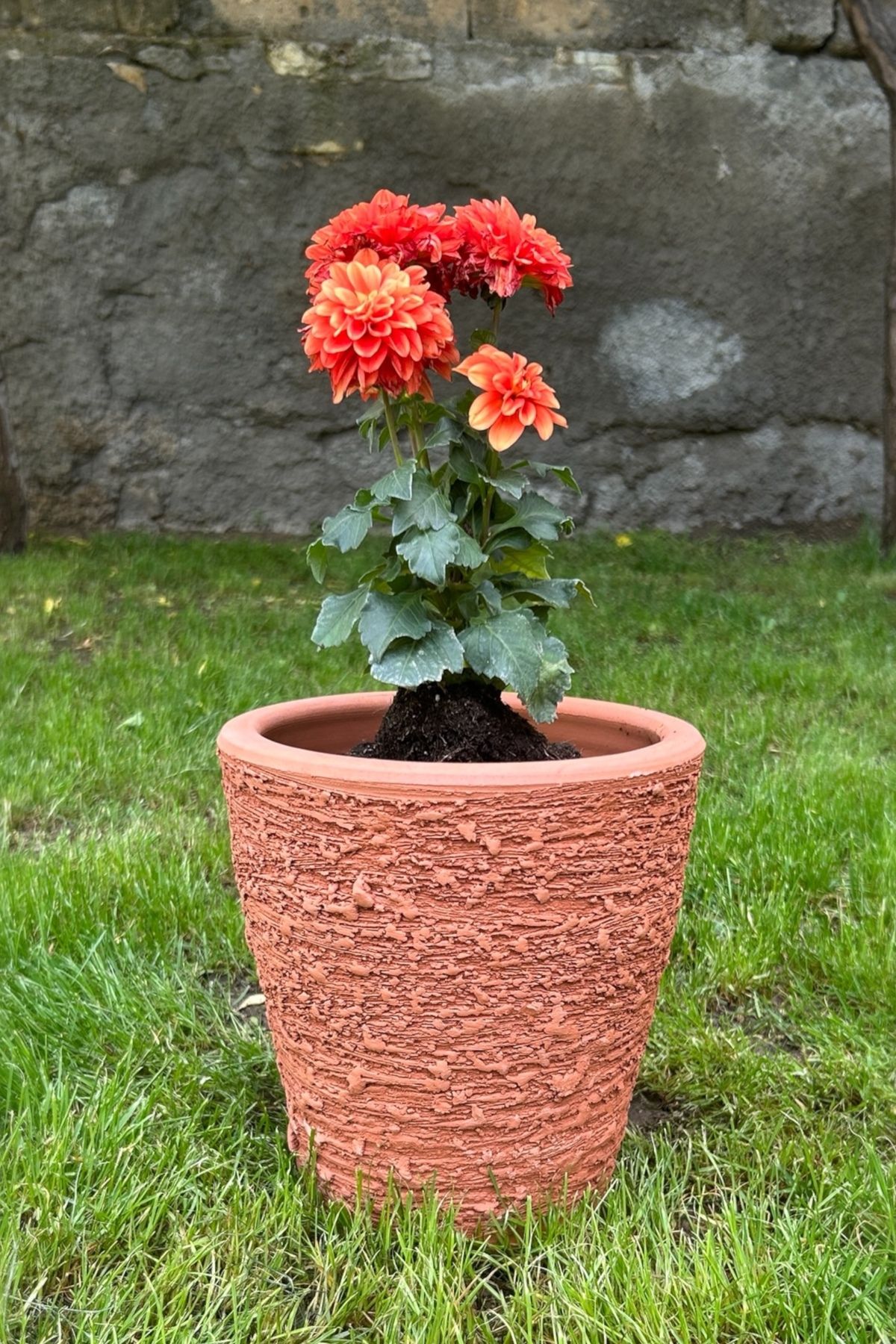 AdenArt DEKORATİF TARAKLI TOPRAK SAKSI - ÇİÇEKLİK KÜÇÜK BOY EL YAPIMI 22x22 cm