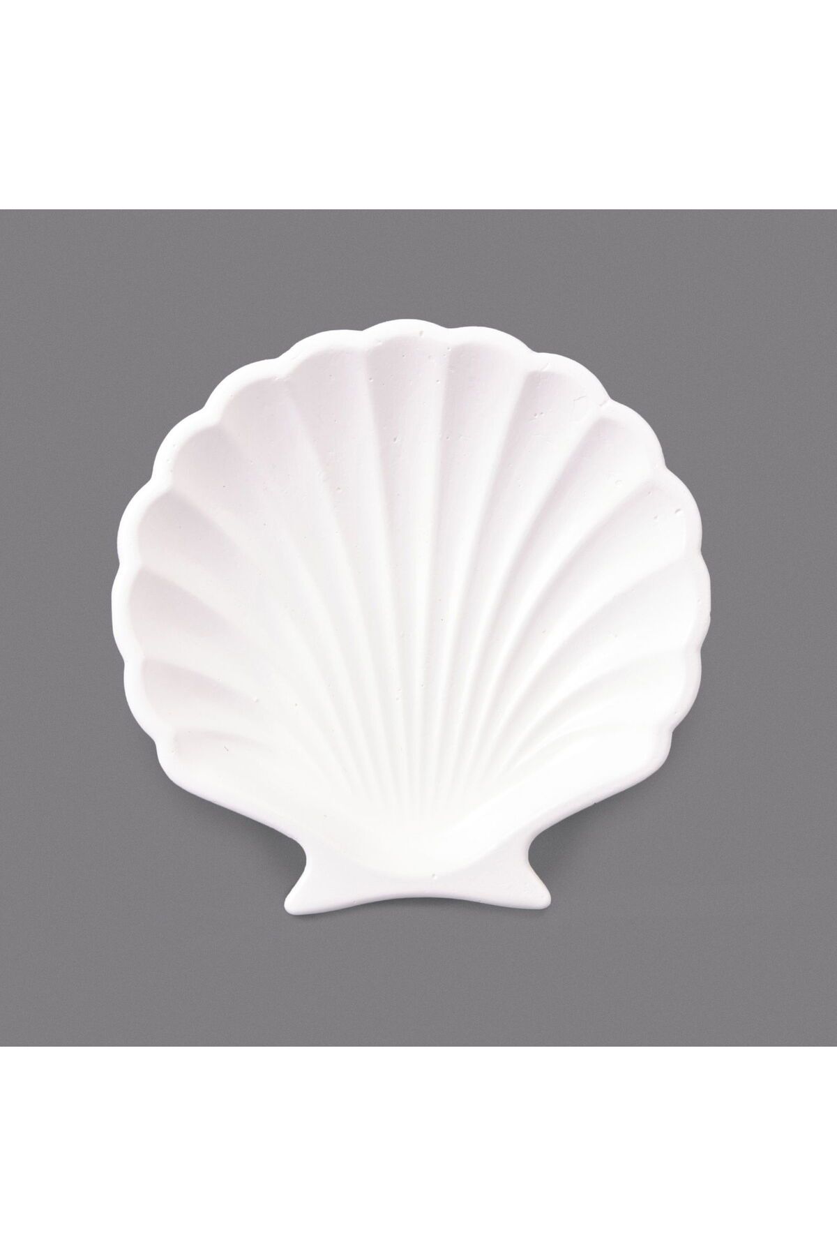 ASPARTAM İstiridye Dekor - Beyaz - 10 cm