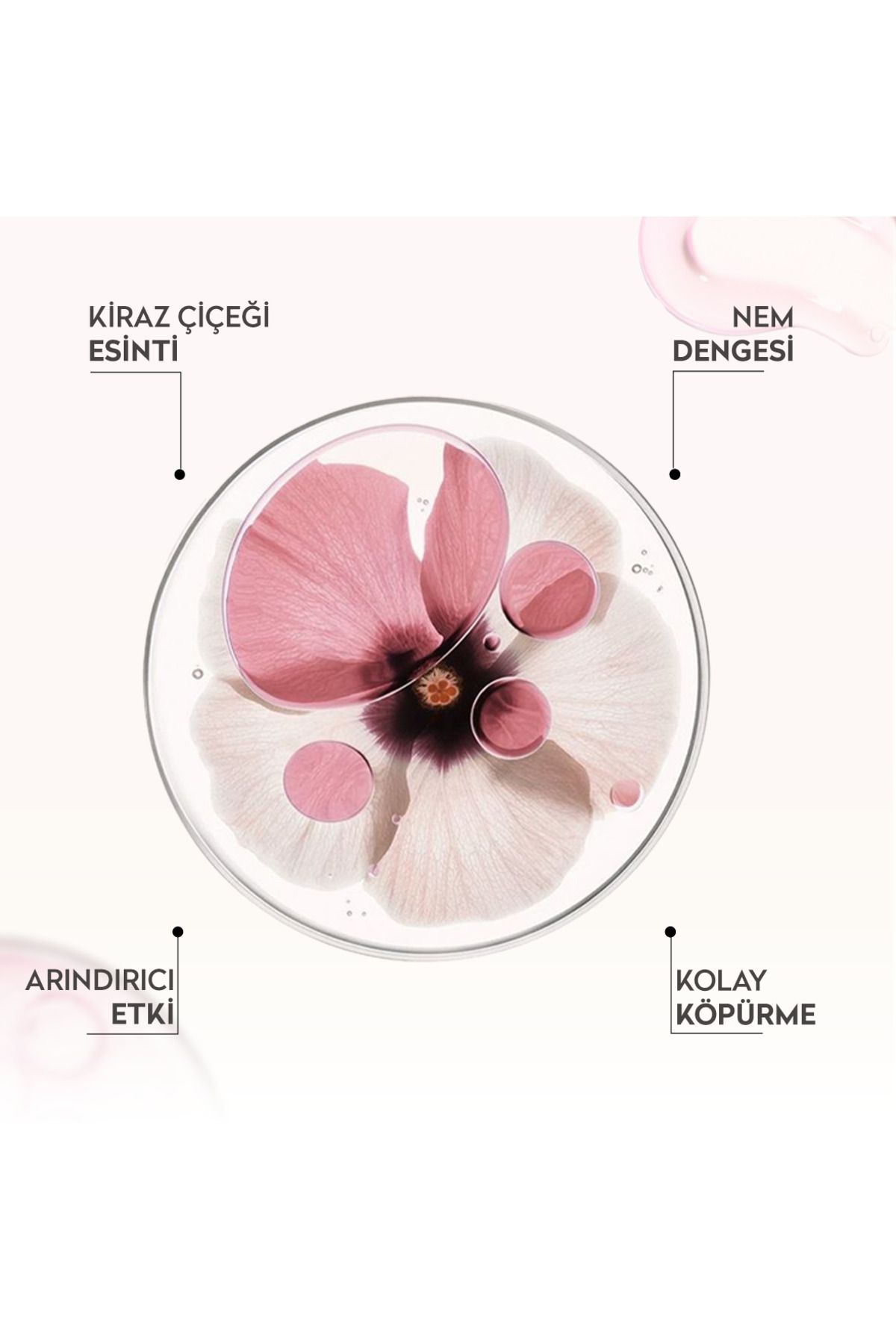Dermokil-Maxrosa Liquid Soap 750 ml Cherry Blossom 3