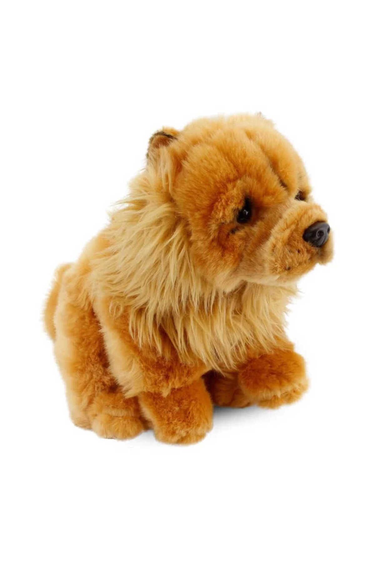 Animals Of The World 28 cm Chow Chow (Çin Aslanı) ANM20921