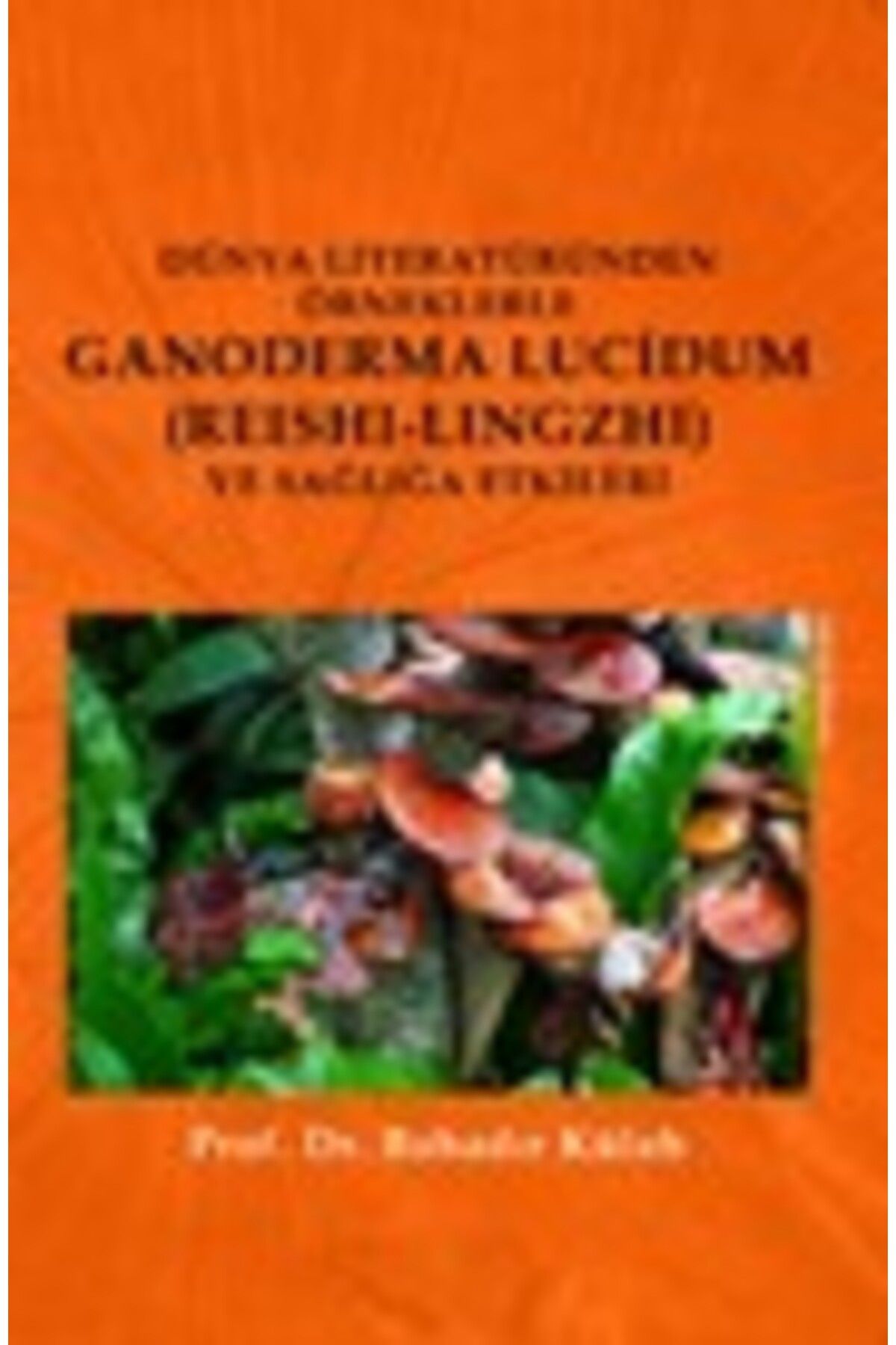 Olasılık Yayınları Dünya Literatüründen Örneklerle Ganoderma Lucidum ReshiLingzhi Ve Sağlığa Etkileri