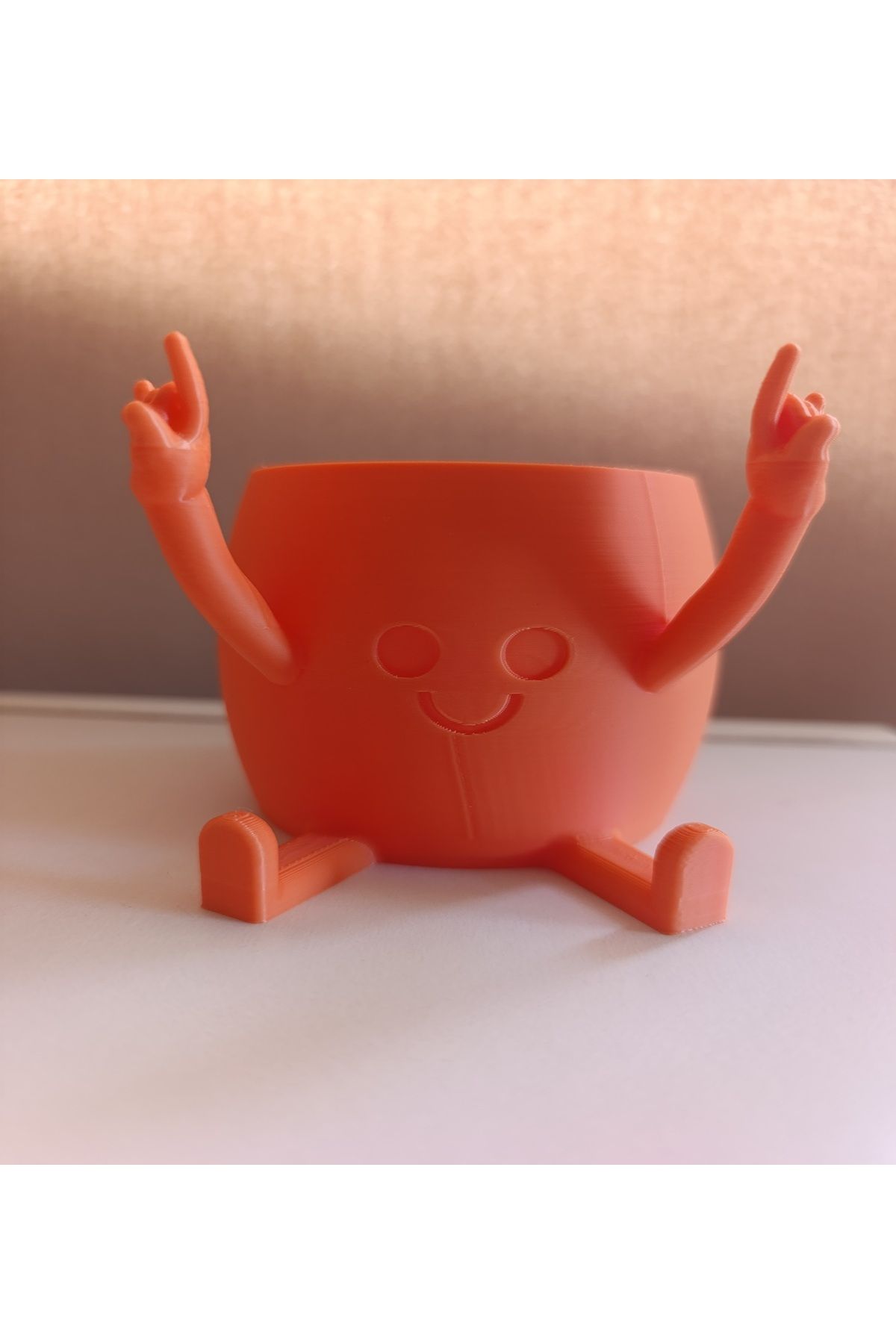 Mey3DDesign Smiley Sukulent Saksı
