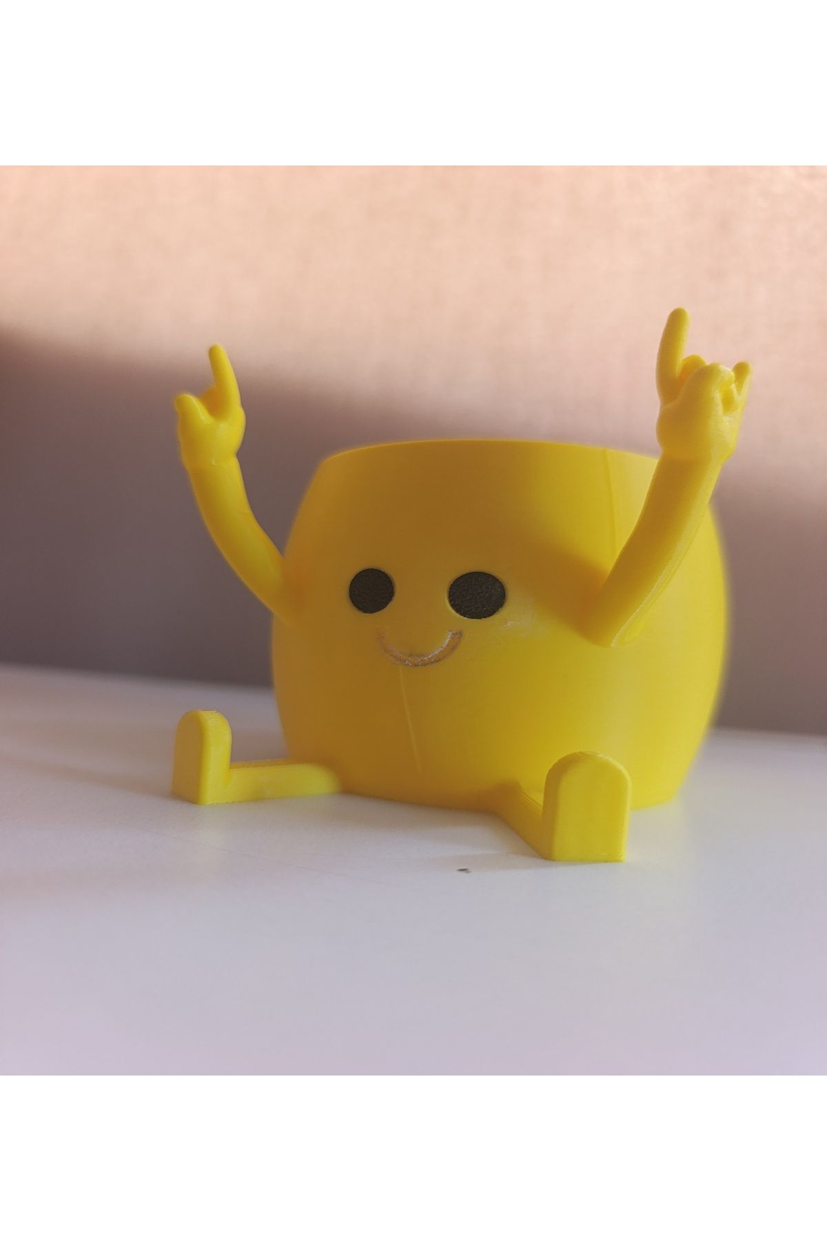 Mey3DDesign Smiley Sukulent Saksı
