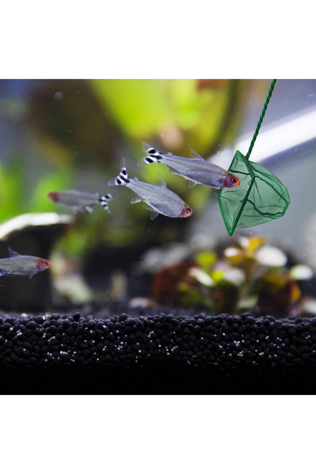 kuzenler store Akvaryum Balık Kepçesi 12 cm.