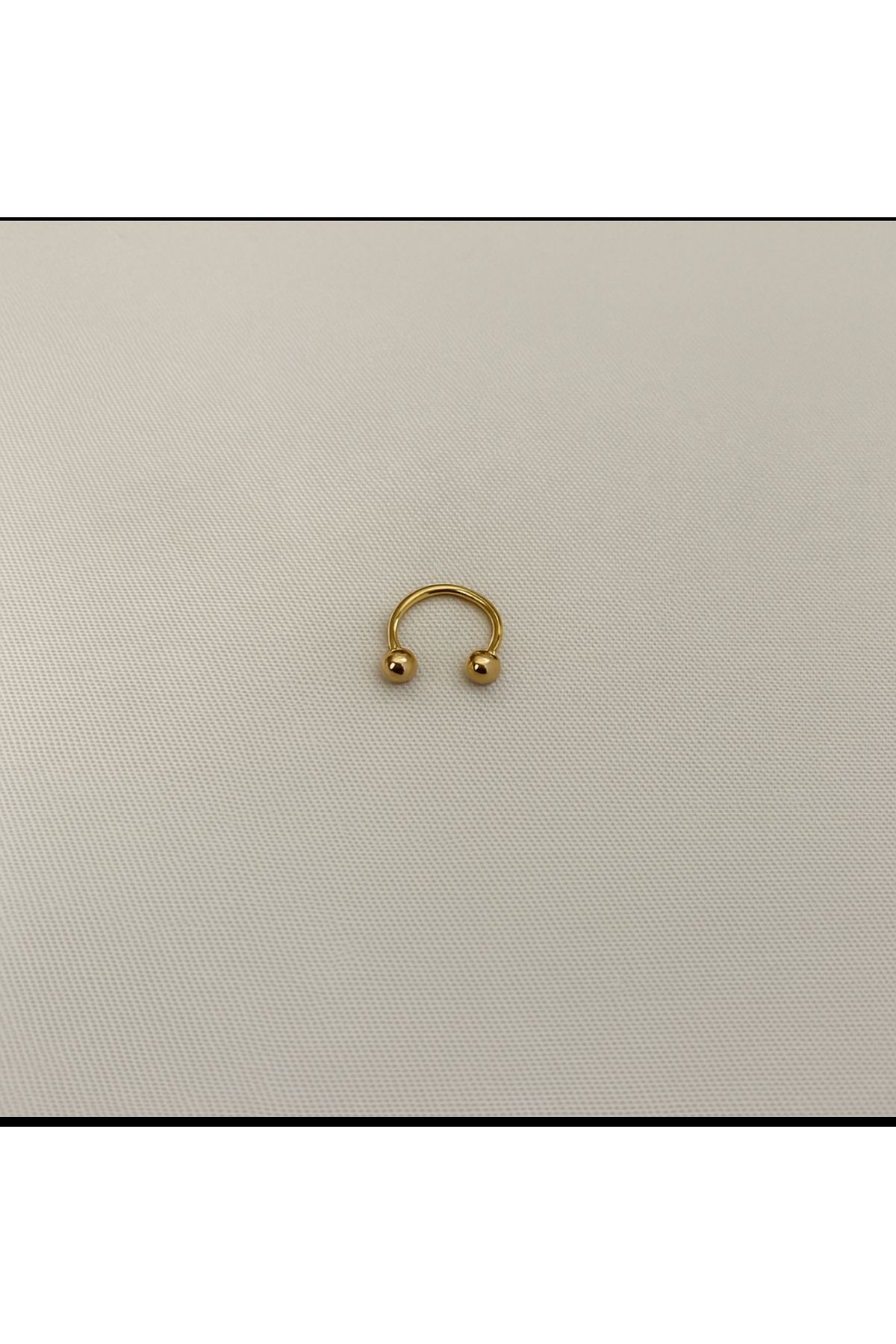 facnspt Altın Renk Paslanmaz Çelik Halka Piercing