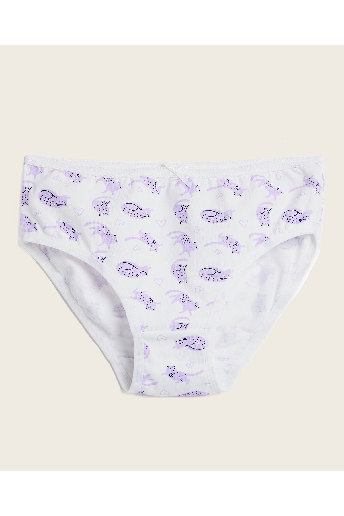 R&B-Pack of 5 Bikini Briefs 3