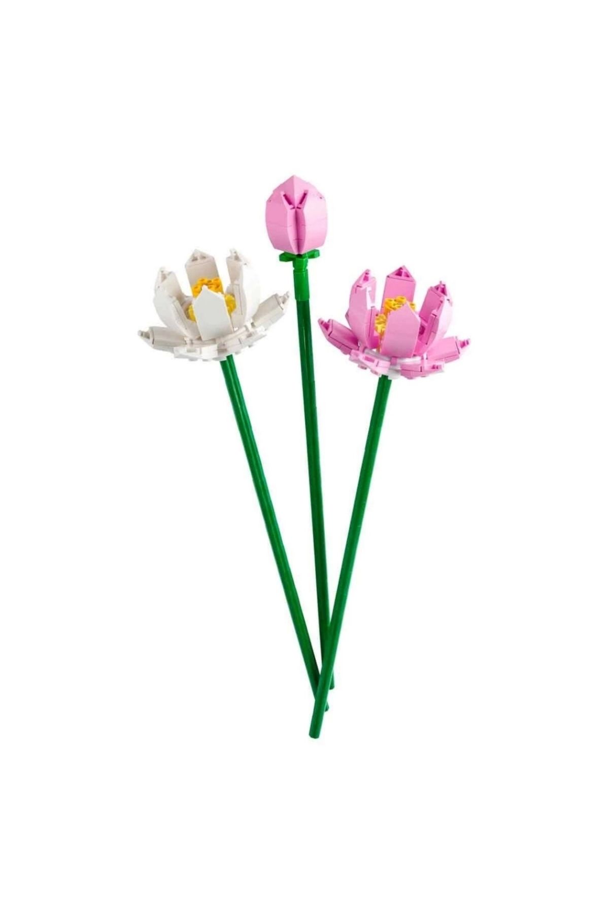 Eng Nessiworld Lotus Çiçekleri 40647