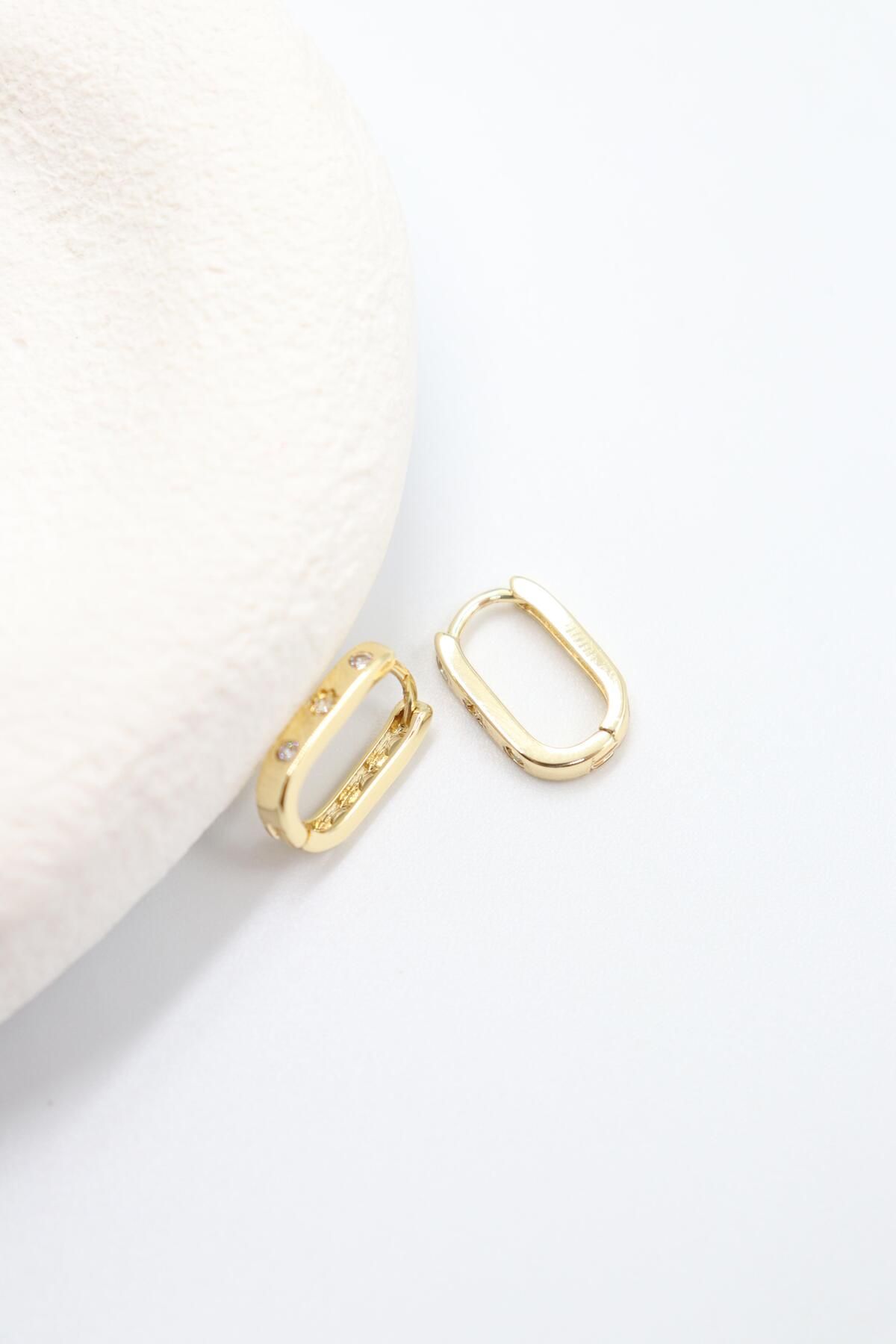 BY CANSU ACCESSORİES Felicita Gold Küpe (14k)