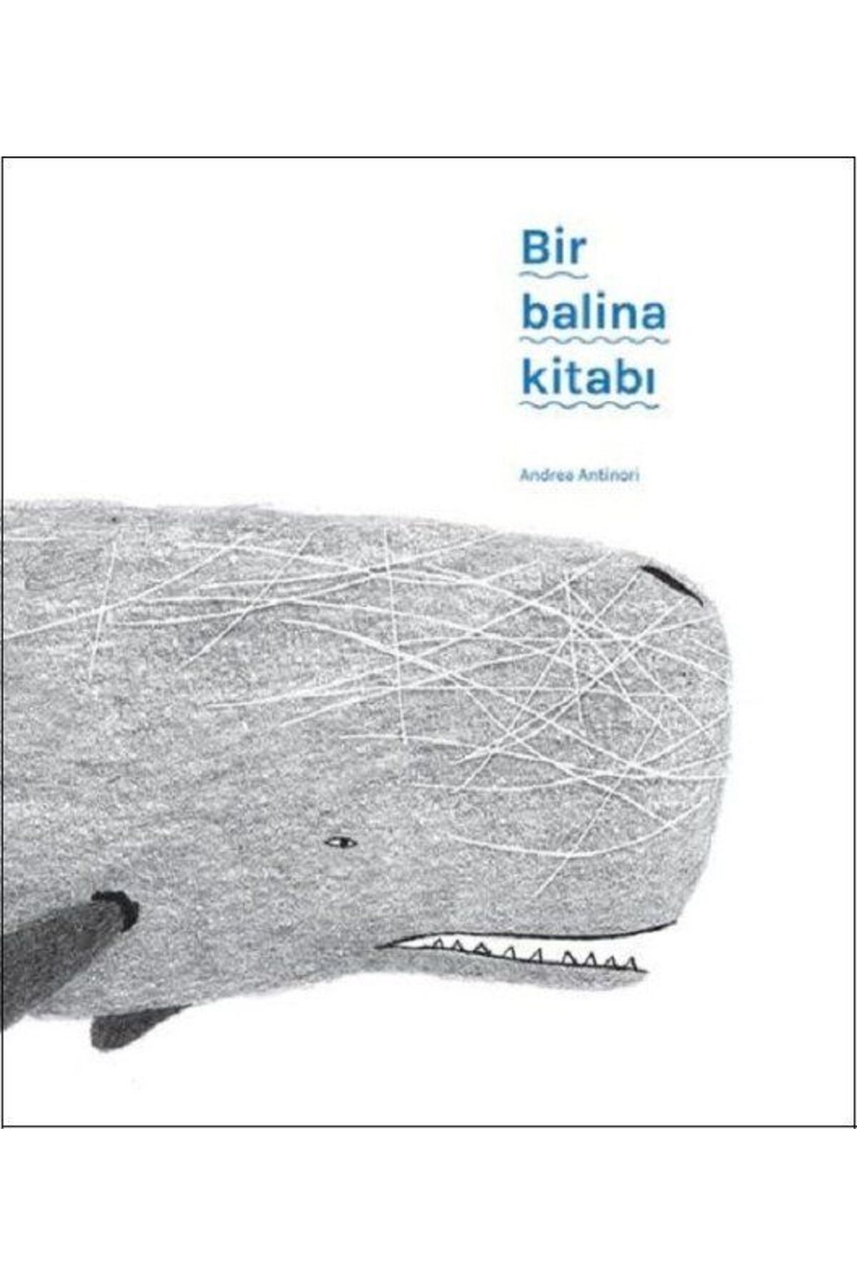 Meav Yayıncılık Bir Balina Kitabı