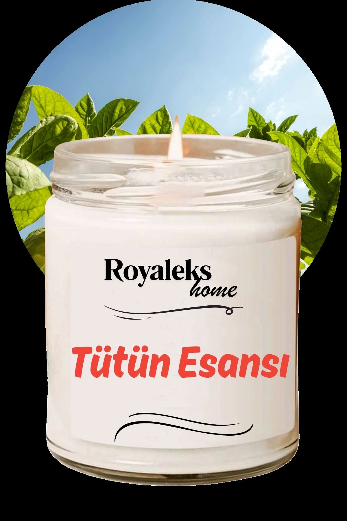 Royaleks Doğal Özel Seri Kokulu Dekoratif Kavanoz Mum 210 cc - Tütün Esansı - RYL