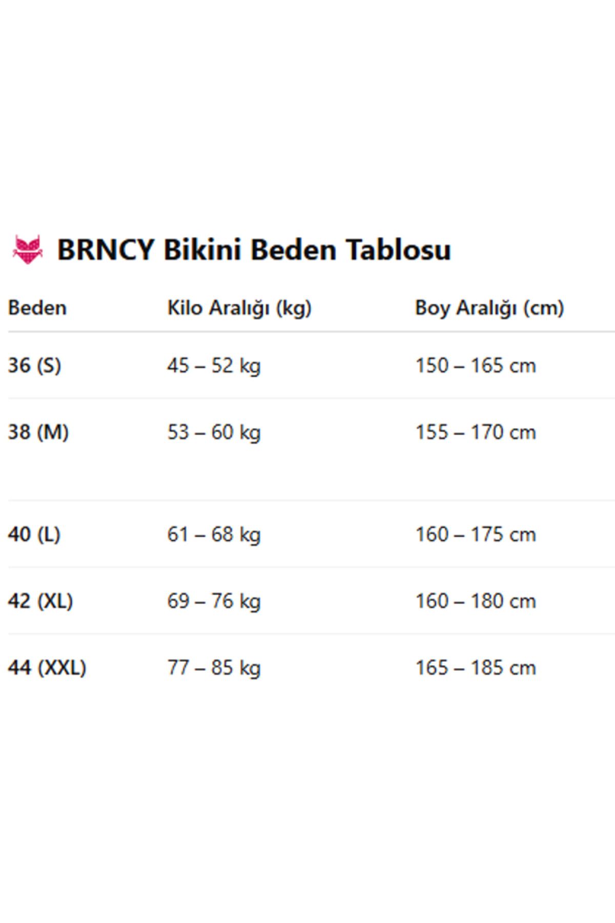 BRNCY-Mink Triangle Bikini Set Adjustable Tie Top and Bottom 7