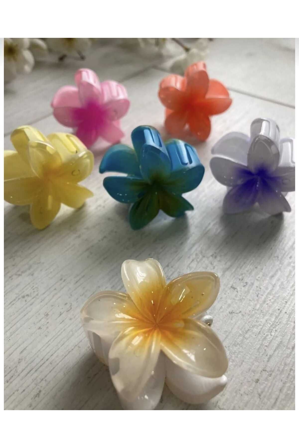 DerinSteelStyle Tekli Küçük Boy Lotus Toka