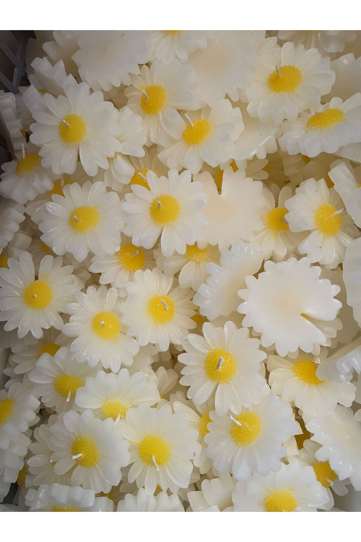 aralmini 15 Adet Kraft Kutulu Papatya Mum Hediyelik, Nişan, Düğün, Sünnet, Söz, Kına, Doğum Günü fotoğrafı 4 (önizleme)