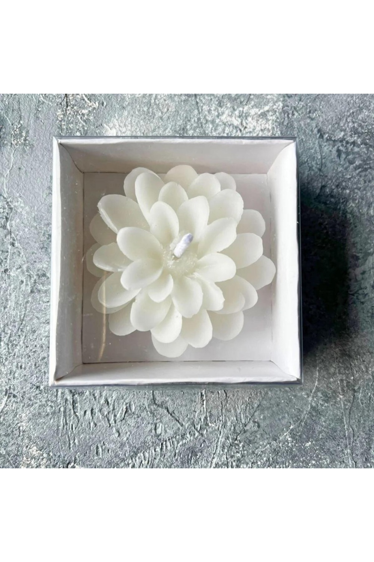 aralmini 10 Adet Lotus Mum, Beyaz Kutulu Söz, Nişan, Düğün, Kına, Doğum Günü fotoğrafı 3 (önizleme)