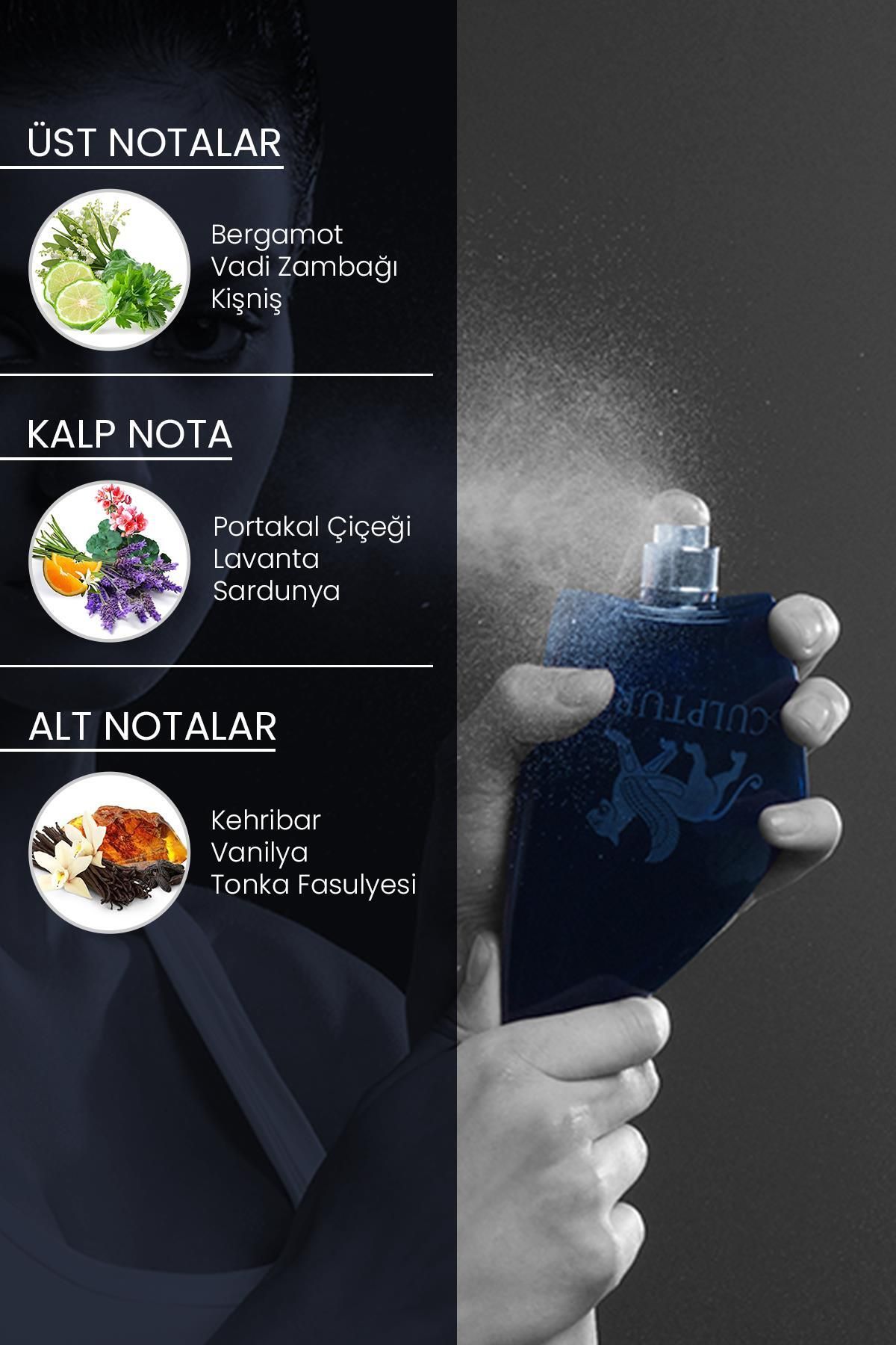 Nikos-Edp 100 ml Sculpture Perfume 3
