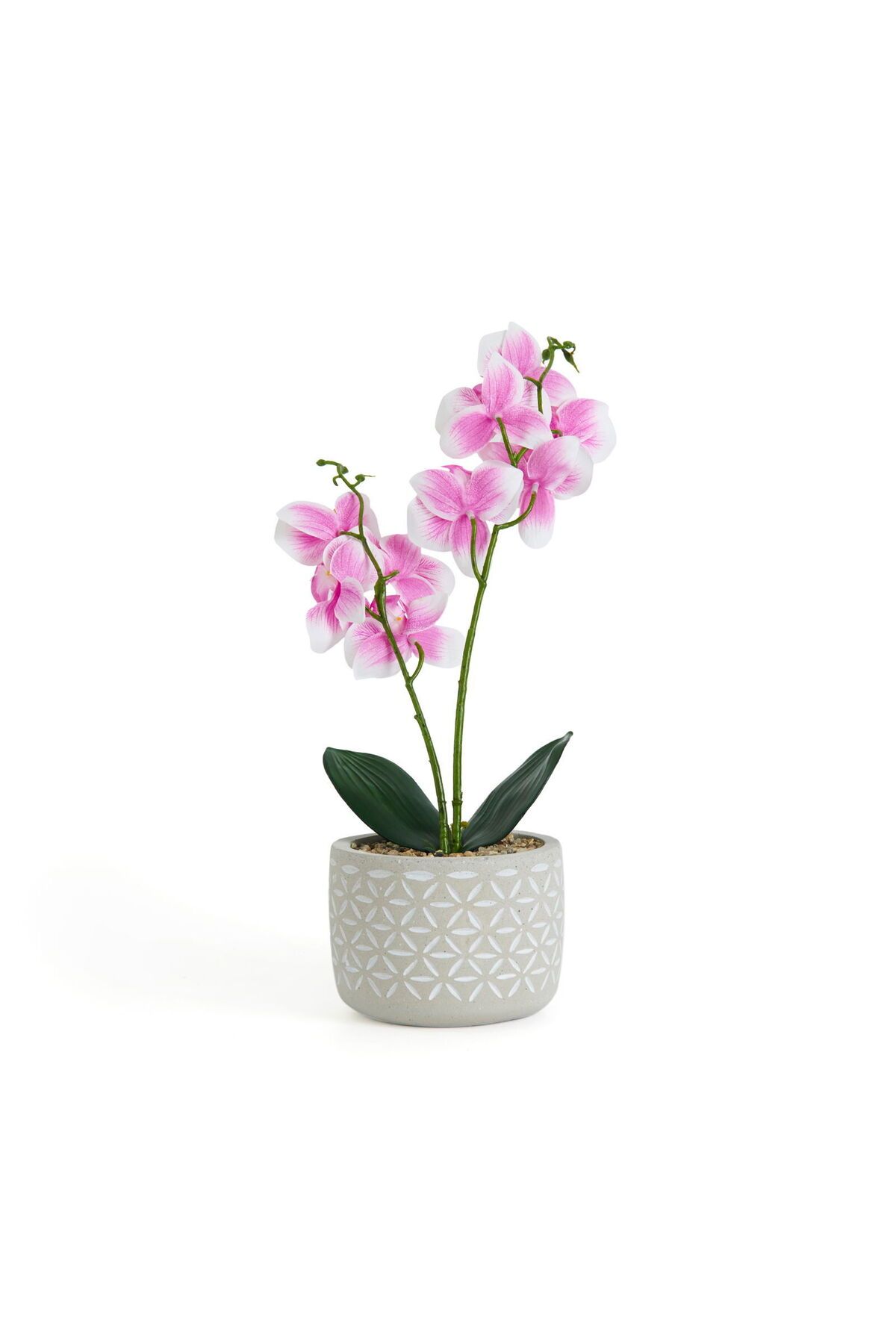 ASPARTAM Beton Saksıda Real Touch Orkide - Pembe - 12x35 cm