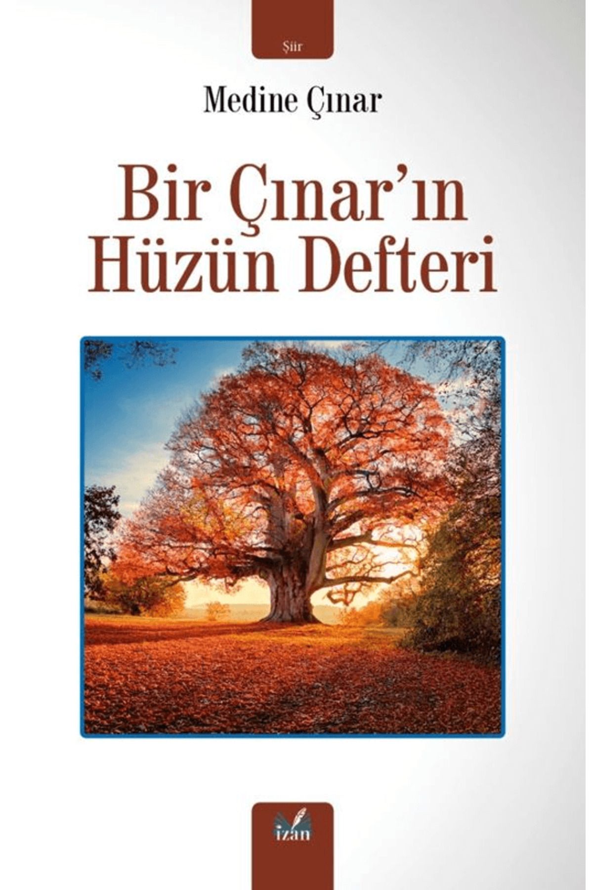 İzan Yayıncılık Bir Çınar'ın Hüzün Defteri / Medine Çınar / İzan Yayıncılık / 9786256265929