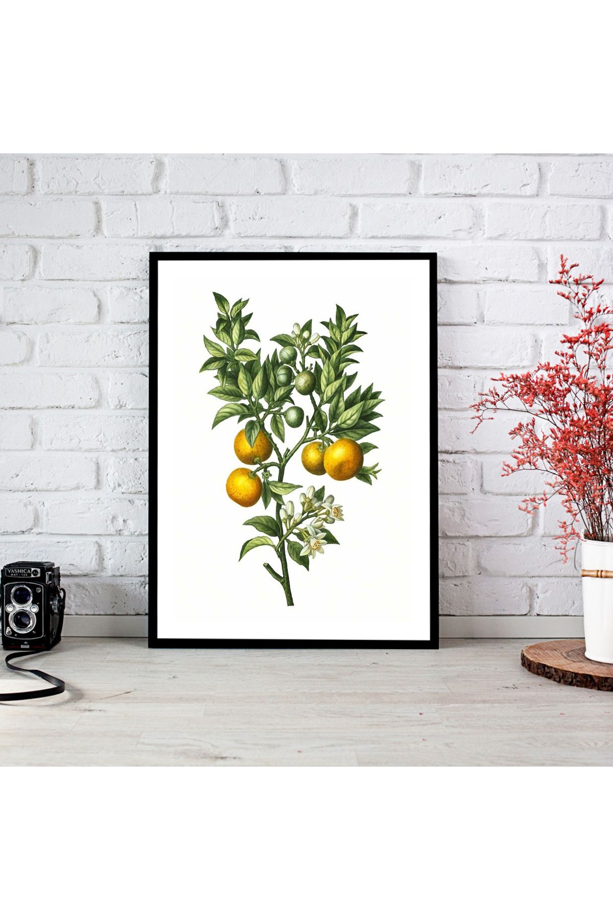 woodsia Ahşap MDF Poster Tablo Çerçevesiz MDF_TEK1503