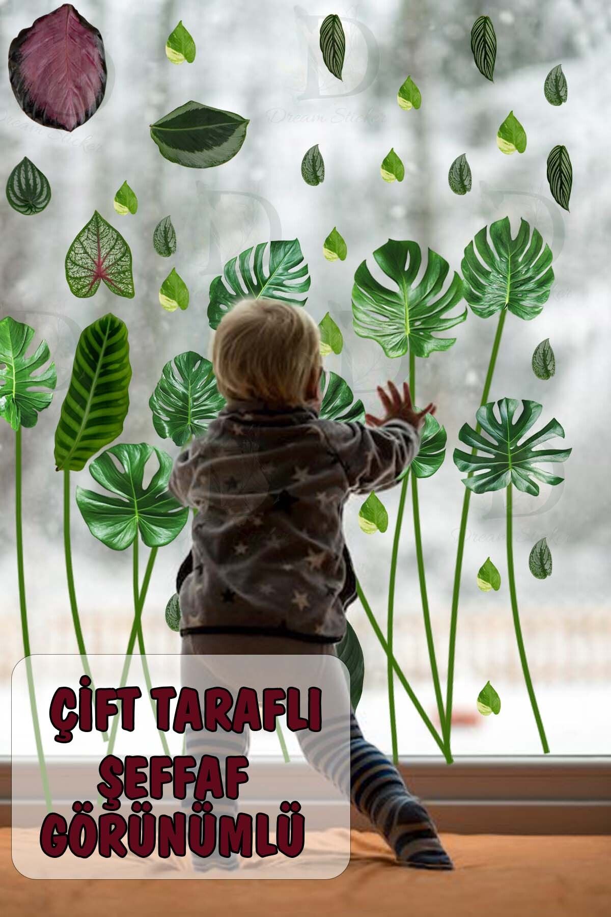 KT Decor Yeşil Tropikal Yapraklar Çift Taraflı Şeffaf Görünümlü Duvar Sticker Seti