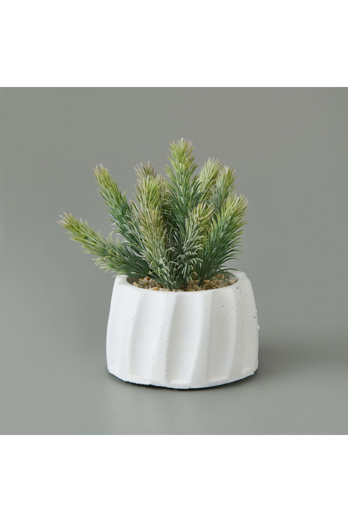 ASPARTAM Beton Saksıda Real Touch Çam Yaprağı - - 25x10x10 cm