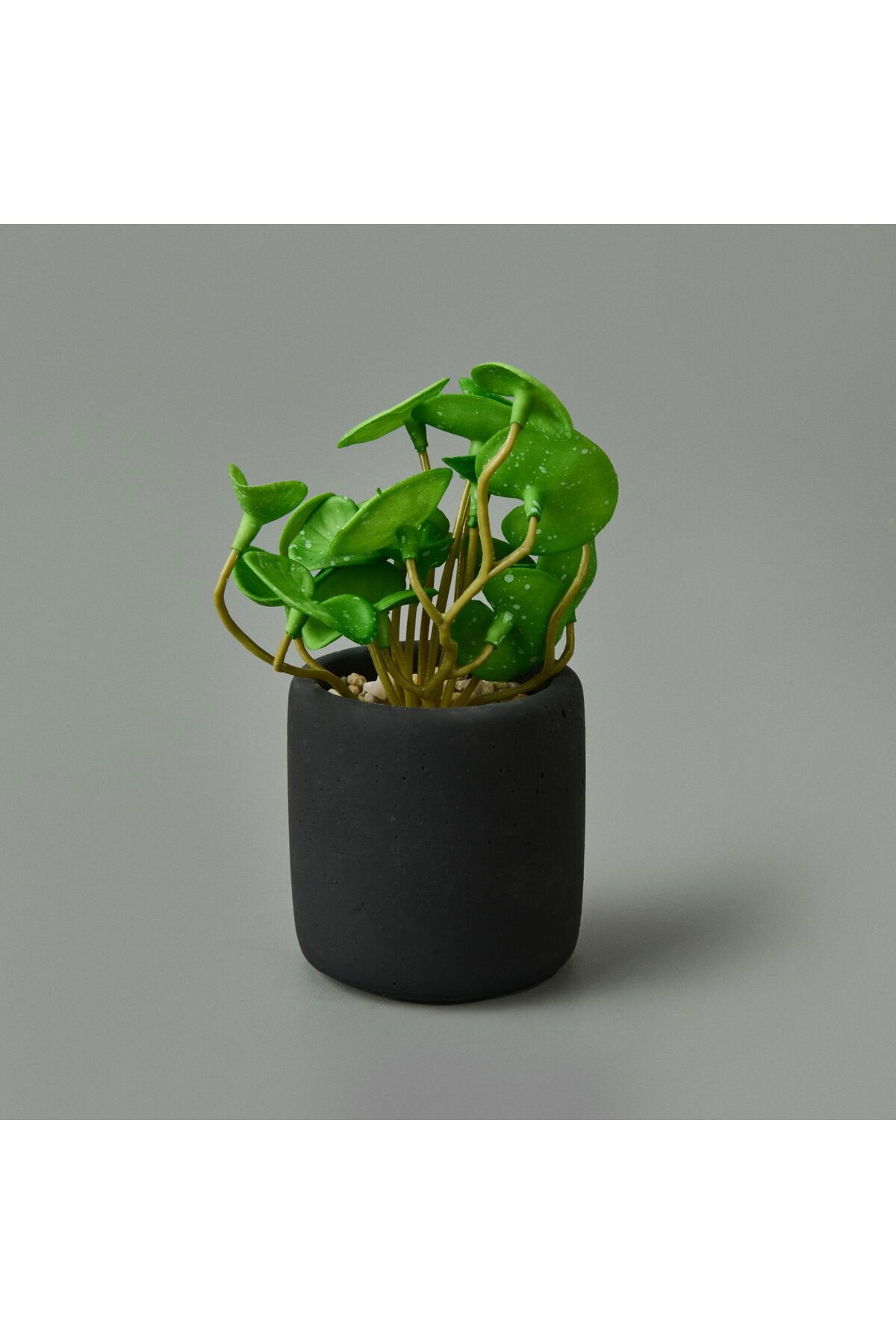 ASPARTAM Mini Pot Soft Yaprak Saksılı Çiçek - - 8x6x6 cm