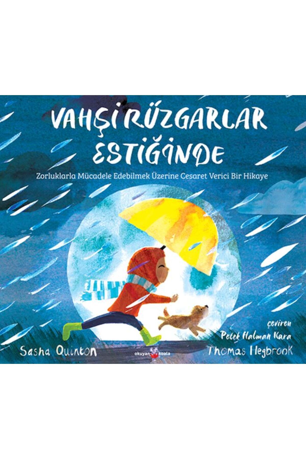 Okuyan Koala Vahşi Rüzgarlar Estiğinde