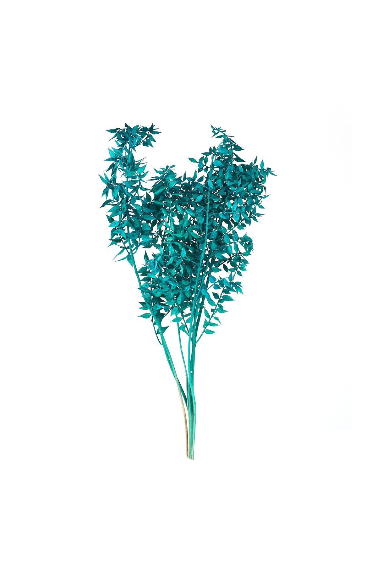 ASPARTAM Ruscus Yapay Çiçek - Yeşil - 50x20 cm
