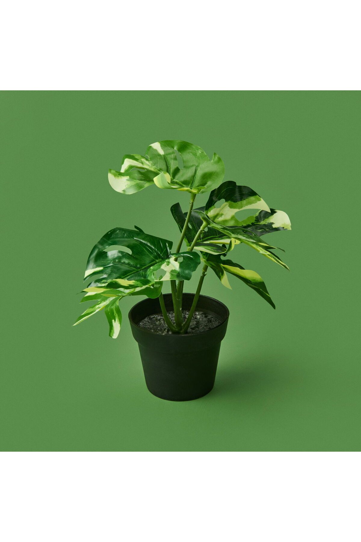 ASPARTAM Botta Çiçek - - 24 cm