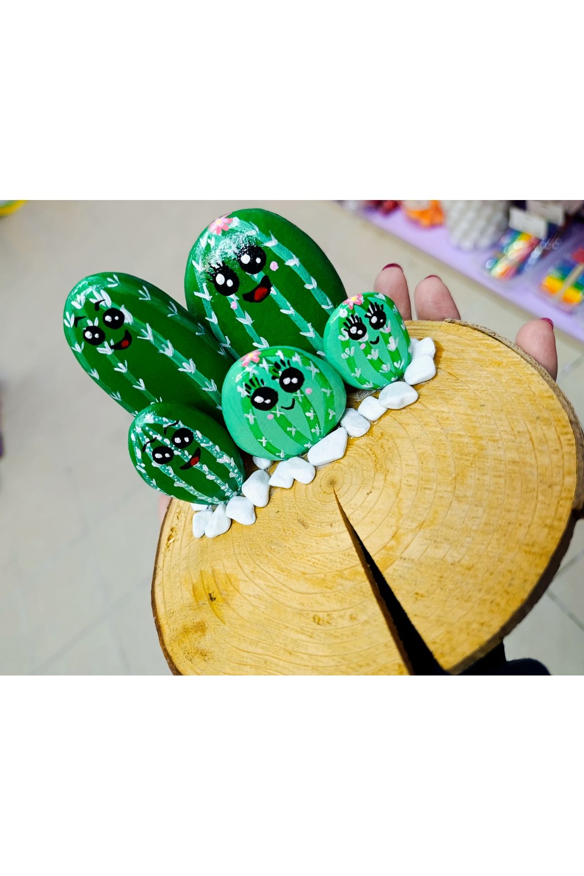 shop Dekoratif obje,ev ve yaşam, hobi ürünü , kaktüs taş ürün