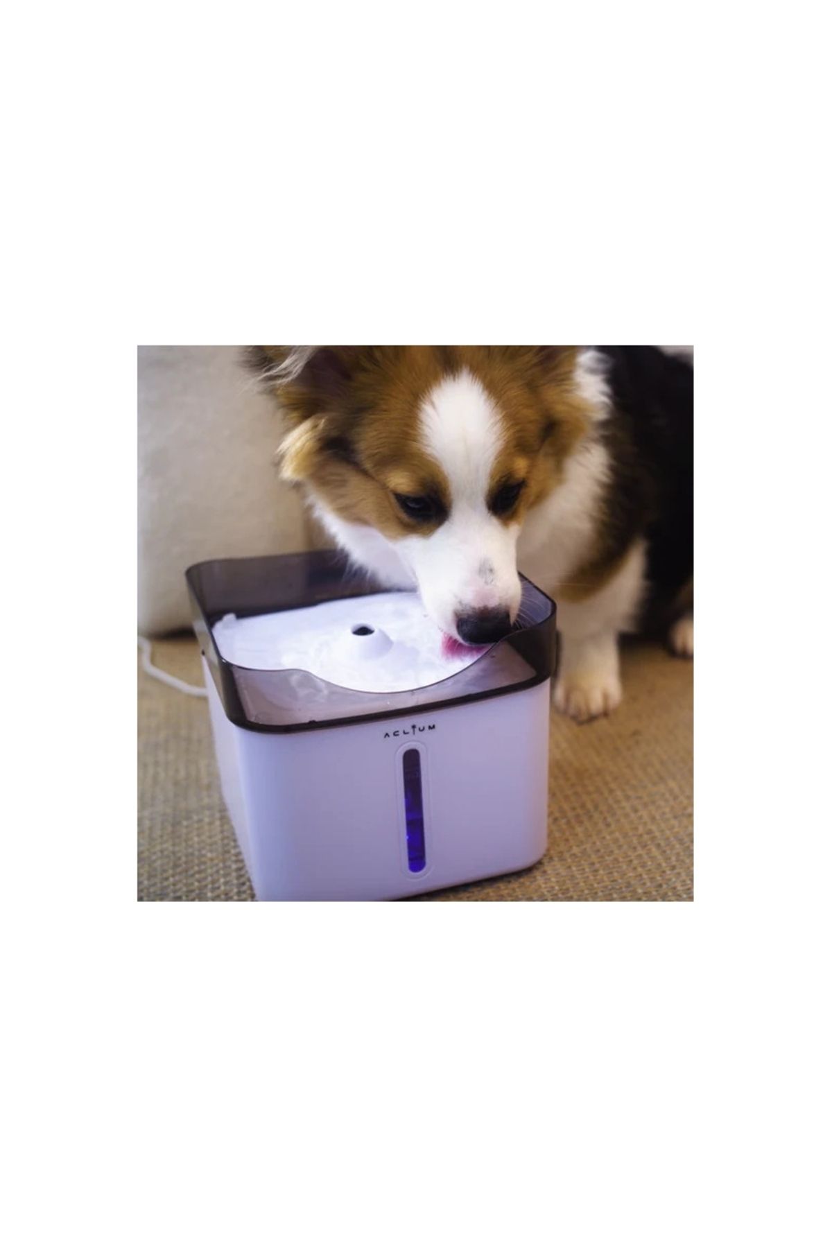 aclıum Kedi Köpek Su Sebili 187X187X164 mm