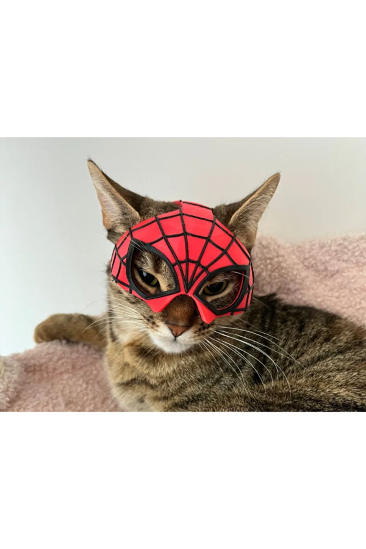 NOMOTHETIC Spidercat Maske – Eğlenceli ve Süper Kahraman Temalı Tasarım